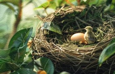 ಮಾಯದ ಗಾಯ