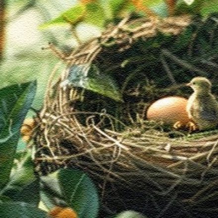 ಮಾಯದ ಗಾಯ