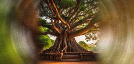 ಹೀಗೊಂದು ಹುಣ್ಣಿಮೆ…