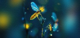 ಬೆಳಕಿನ ಹುಳು