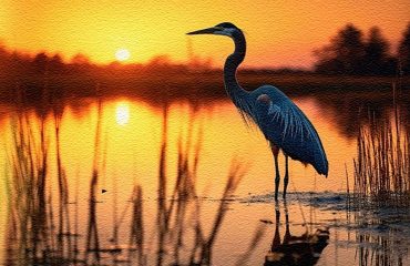 ಕುರುಹೇ ಬಯಲು