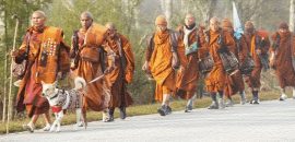 ಯುದ್ದವೋ, ಶಾಂತಿಯೋ…