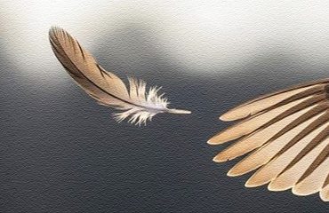 ಅರ್ಥ – ವ್ಯರ್ಥ