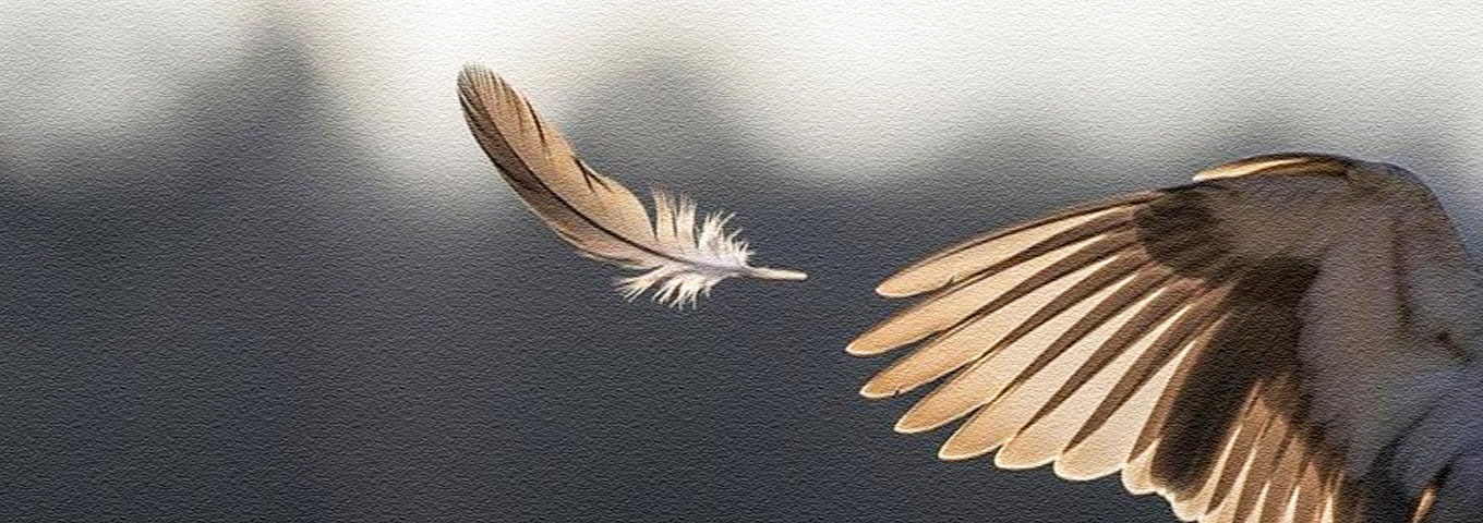 ಅರ್ಥ – ವ್ಯರ್ಥ