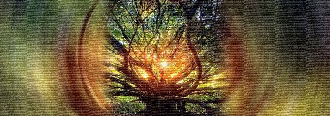 ಕಣ್ಣ ಮುಂದಿನ ಬೆಳಕು